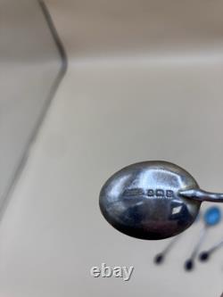 Ensemble de café/thé Vintage F. D & Co en turquoise dans une boîte en shagreen avec cuillères en argent des années 1900