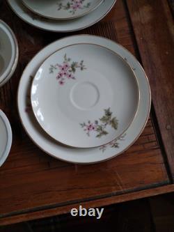 Ensemble de café vintage Hutschenreuther Favorit Bavière Allemagne floral avec finition dorée B5