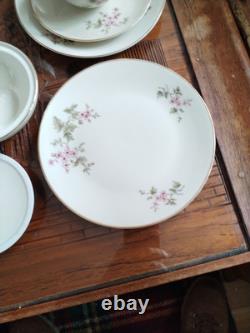 Ensemble de café vintage Hutschenreuther Favorit Bavière Allemagne floral avec finition dorée B5