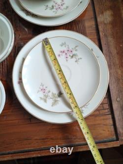 Ensemble de café vintage Hutschenreuther Favorit Bavière Allemagne floral avec finition dorée B5