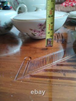 Ensemble de café vintage Hutschenreuther Favorit Bavière Allemagne floral avec finition dorée B5