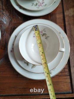 Ensemble de café vintage Hutschenreuther Favorit Bavière Allemagne floral avec finition dorée B5