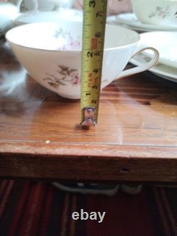 Ensemble de café vintage Hutschenreuther Favorit Bavière Allemagne floral avec finition dorée B5