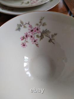 Ensemble de café vintage Hutschenreuther Favorit Bavière Allemagne floral avec finition dorée B5