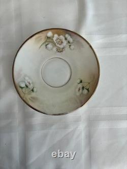 Ensemble de tasses à café en porcelaine peintes à la main vintage RS Reinhold Schlegelmilch Allemagne