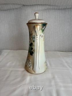 Ensemble de tasses à café en porcelaine peintes à la main vintage RS Reinhold Schlegelmilch Allemagne