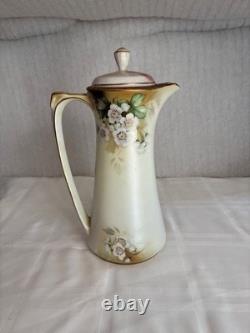 Ensemble de tasses à café en porcelaine peintes à la main vintage RS Reinhold Schlegelmilch Allemagne