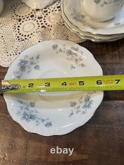 Ensemble de thé/ café avec théière, crémier et sucrier Johann Haviland Blue Garland Allemagne VTG