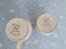 Ensemble de thé et café vintage Poole Pottery Arden de 21 pièces