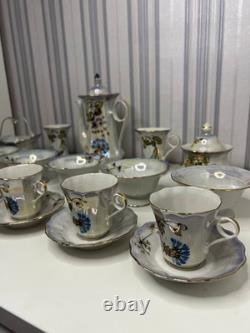 Ensemble de thé et de café en porcelaine ukrainienne vintage, usine de Korosten, années 1950