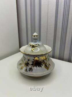 Ensemble de thé et de café en porcelaine ukrainienne vintage, usine de Korosten, années 1950