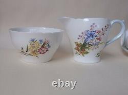 Non Utilisé Vintage Shelly Wild Flowers Baby Blue Handle 21 Pcs Tea / Coffee Set