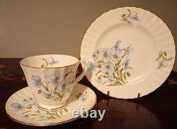 Rare Duchesse Vintage, Service à Café Floral Bleu. Porcelaine Fine, Angleterre