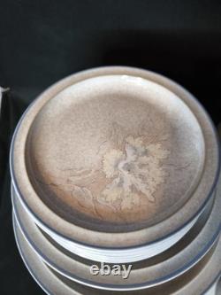 Rare Ensemble de Dîner et de Thé Vintage Denby TASMIN pour 6 en État Immaculé