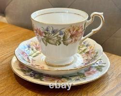 Rare service complet thé/café et dîner Paragon CountryLane en fine porcelaine osseuse, plus de 110 pièces