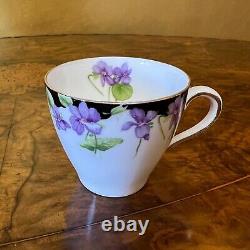 Service à café Vintage Royal Doulton Violets avec pot à café et tasses