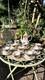 Service &agrave; Caf&eacute; En Porcelaine Fine Vintage Royal Albert Old Country Roses (20 Pi&egrave;ces)