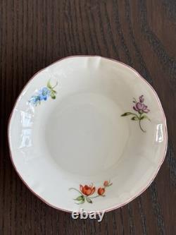 Service à café moka en porcelaine allemande vintage Von Schierholz, peint à la main, romantique