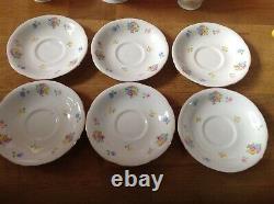 Service à café peint à la main de 15 pièces Grafton (A. B. Jones) comprenant une cafetière