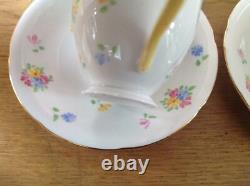 Service à café peint à la main de 15 pièces Grafton (A. B. Jones) comprenant une cafetière