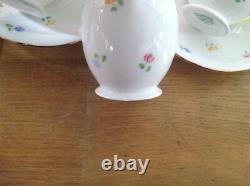 Service à café peint à la main de 15 pièces Grafton (A. B. Jones) comprenant une cafetière