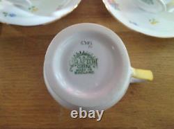 Service à café peint à la main de 15 pièces Grafton (A. B. Jones) comprenant une cafetière