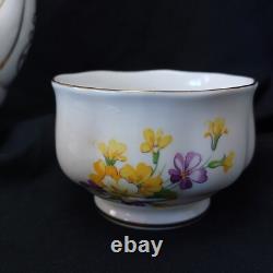 Service à café vintage Royal Albert Primrose et Violettes pour six personnes, 18 pièces