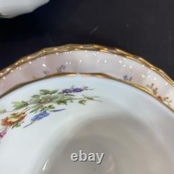 Service à thé Royal Worcester Roanoke de 23 pièces pour 6 personnes, comprenant une théière, un pot à lait et un sucrier