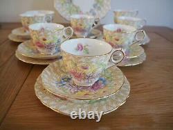 Service à thé en porcelaine vintage Royal Stafford 'Fern Posy' 6 tasses triots et plus 21 pièces