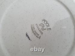 Service à thé et café Arden en faïence vintage Poole, 21 pièces