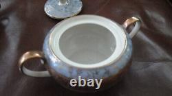 Service de café en porcelaine Vtg Seltmann Vohenstrauss Demitasse Pot à Café Tasse Sucrier Bavaria 8 pièces