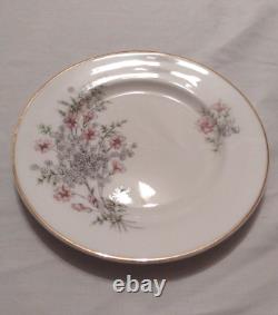 Service de dîner Vintage Mayfair en porcelaine fine de Staffordshire, Angleterre, pour 6 personnes