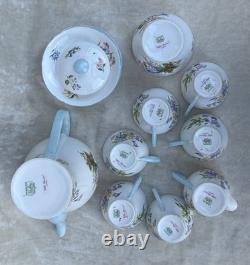 Shelley FLEURS SAUVAGES 13668 Ensemble de café en porcelaine fine vintage éblouissant