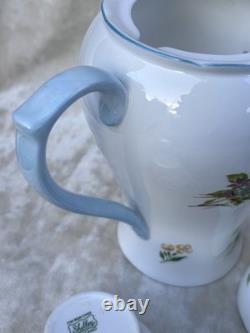Shelley FLEURS SAUVAGES 13668 Ensemble de café en porcelaine fine vintage éblouissant