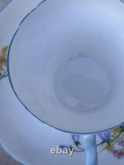 Shelley FLEURS SAUVAGES 13668 Ensemble de café en porcelaine fine vintage éblouissant