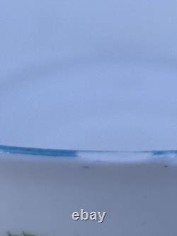 Shelley FLEURS SAUVAGES 13668 Ensemble de café en porcelaine fine vintage éblouissant