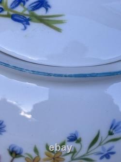 Shelley FLEURS SAUVAGES 13668 Ensemble de café en porcelaine fine vintage éblouissant