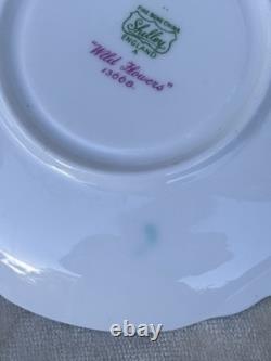 Shelley FLEURS SAUVAGES 13668 Ensemble de café en porcelaine fine vintage éblouissant