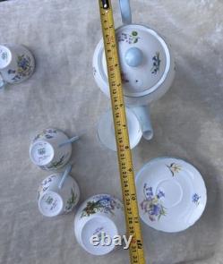 Shelley FLEURS SAUVAGES 13668 Ensemble de café en porcelaine fine vintage éblouissant
