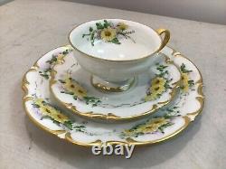 Vintage 12 pièces Hutschenreuther Gelb Tasses Soucoupes Assiettes à Dessert MMB56