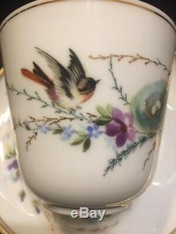 Vintage Café Set En Porcelaine Fine Et Peinte À La Main D'oiseaux Nest Motif Allemand 29 Pièces