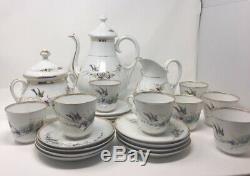 Vintage Café Set En Porcelaine Fine Et Peinte À La Main D'oiseaux Nest Motif Allemand 29 Pièces